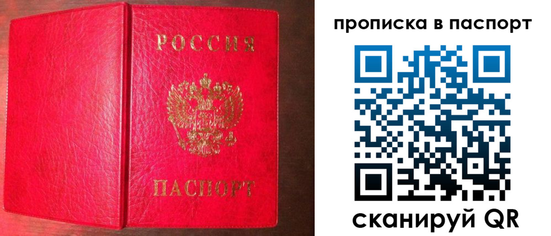 прописка гарантия в Сергиевом Посаде